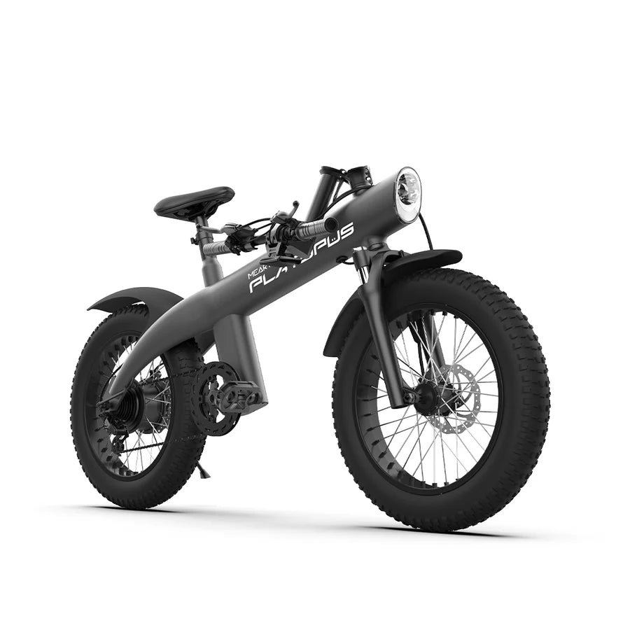 MEARTH PLATYPUS 2024 ELECTRIC BIKE - 36V/10Ah, Motor 36V/250W, 25KM/H,20 INCH TIRES, DISC BRAKES