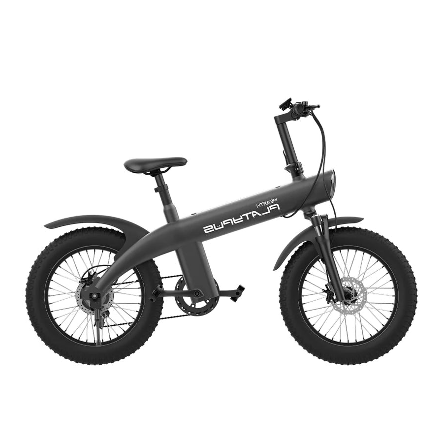 MEARTH PLATYPUS 2024 ELECTRIC BIKE - 36V/10Ah, Motor 36V/250W, 25KM/H,20 INCH TIRES, DISC BRAKES