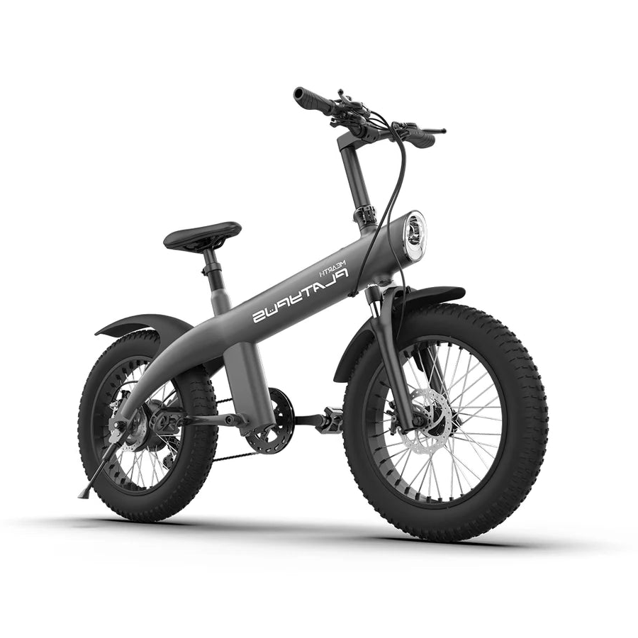 MEARTH PLATYPUS 2024 ELECTRIC BIKE - 36V/10Ah, Motor 36V/250W, 25KM/H,20 INCH TIRES, DISC BRAKES