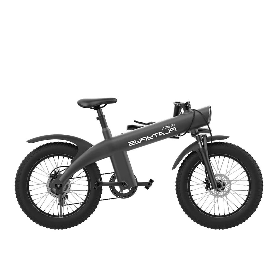 MEARTH PLATYPUS 2024 ELECTRIC BIKE - 36V/10Ah, Motor 36V/250W, 25KM/H,20 INCH TIRES, DISC BRAKES