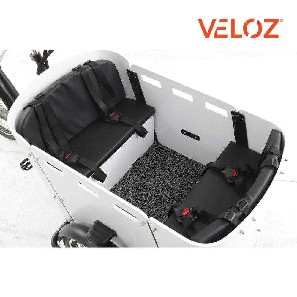 VELOZ ELECTRIC CARGO TRIKE 350W MOTOR 200 KILOS WEIGHT LOAD 6 MONTHS FREE SERVICE